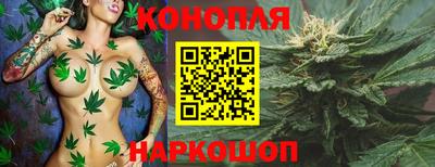 дживик Будённовск