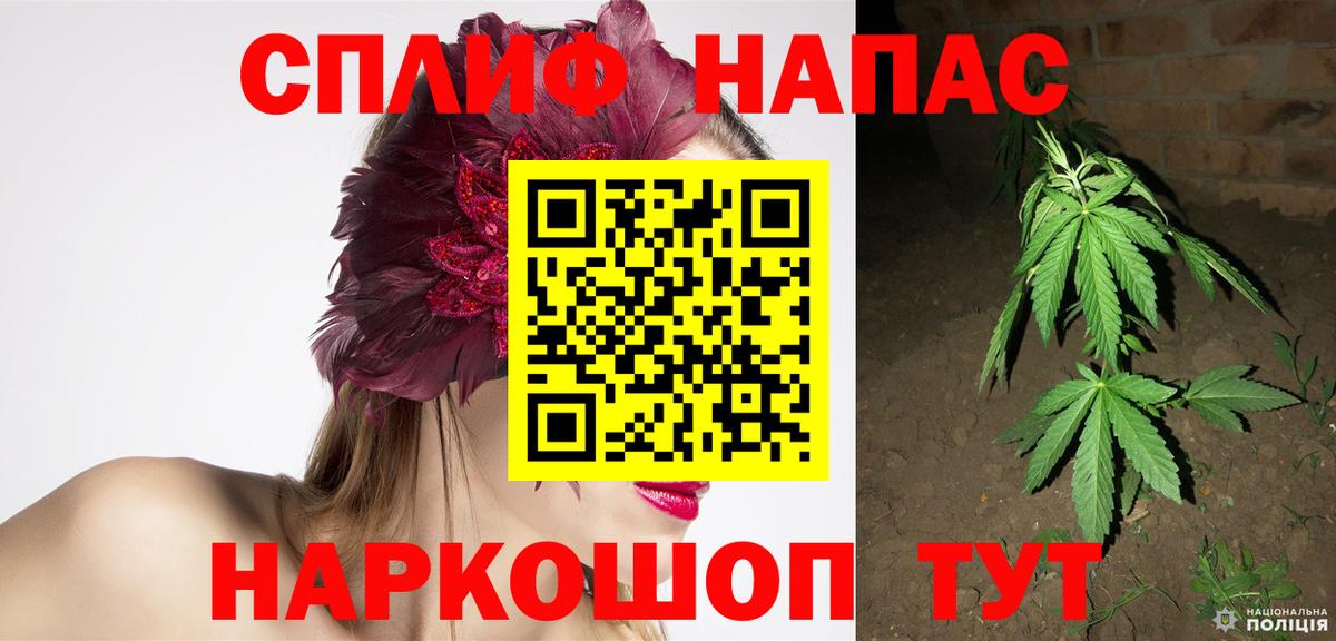 МАРИХУАНА планчик Трёхгорный
